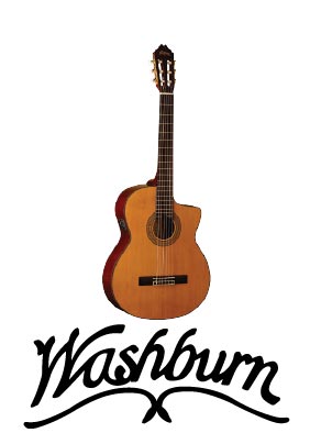 Washburn Guitars